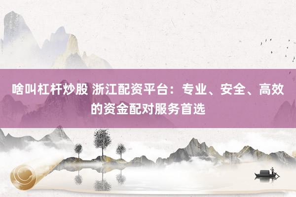 啥叫杠杆炒股 浙江配资平台：专业、安全、高效的资金配对服务首选