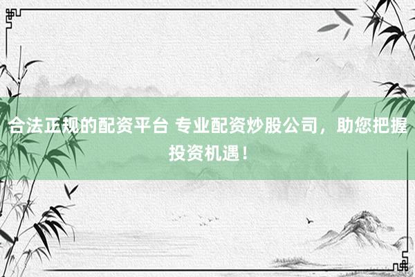 合法正规的配资平台 专业配资炒股公司，助您把握投资机遇！