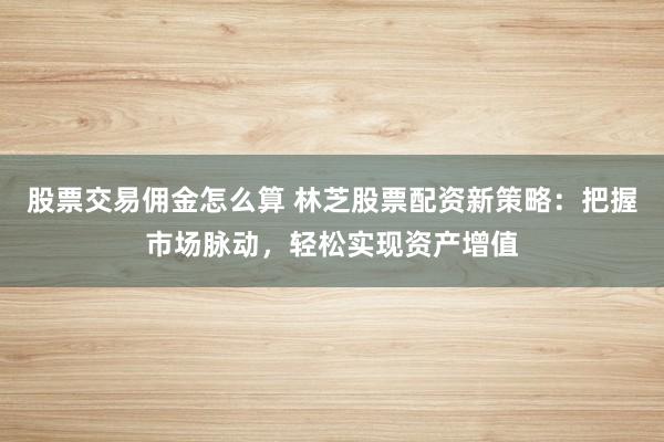 股票交易佣金怎么算 林芝股票配资新策略：把握市场脉动，轻松实现资产增值