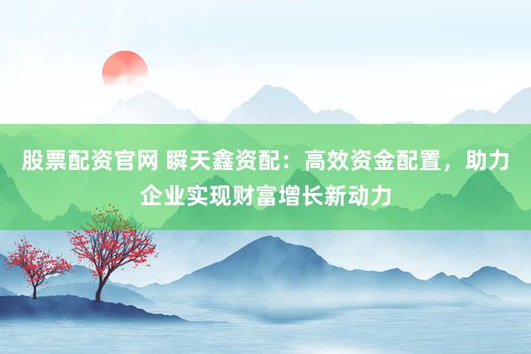 股票配资官网 瞬天鑫资配：高效资金配置，助力企业实现财富增长新动力