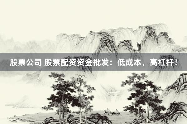 股票公司 股票配资资金批发：低成本，高杠杆！