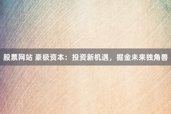 股票网站 豪极资本：投资新机遇，掘金未来独角兽