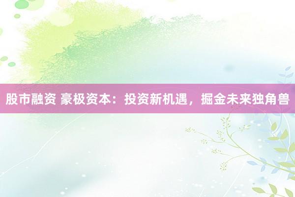 股市融资 豪极资本：投资新机遇，掘金未来独角兽